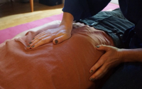 https://www.georgiafarrant.net/files/gimgs/th-113_shiatsu detail 1_v2.jpg